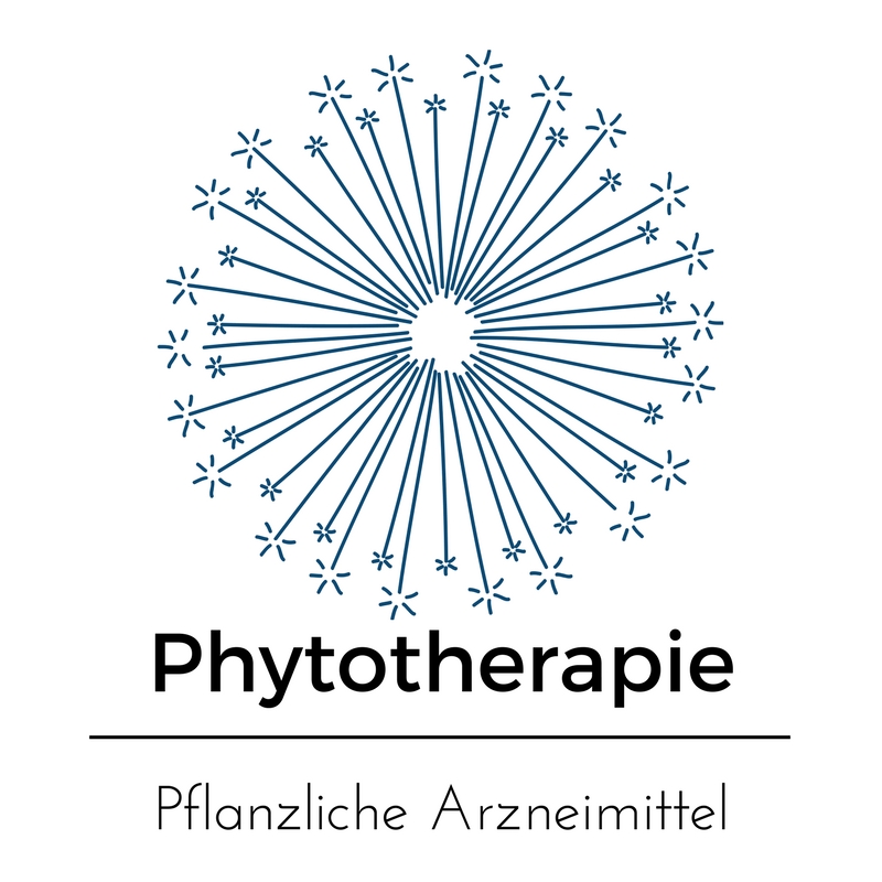 blau_phyto - Osteopathie Berlin Charlottenburg